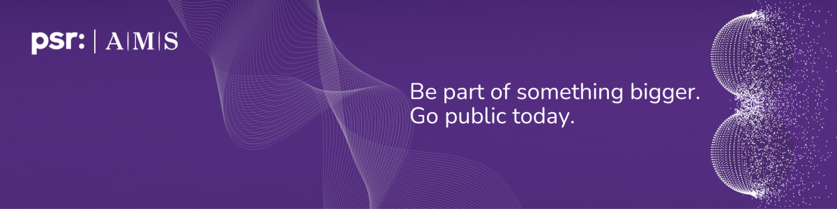 Public Sector Resourcing cover